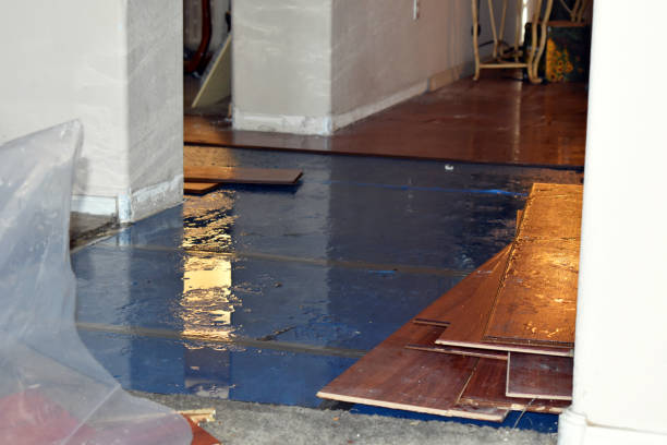 Professional Water Damage Restoration technician working in Summit, MS